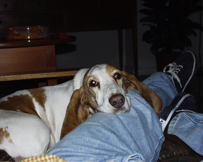 15.150 murphy 1999-11-28