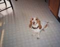 06 murphy