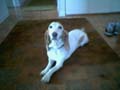 26.05 murph 2004-09-03