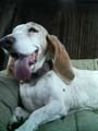 50 murphy 2005-08-06#10056