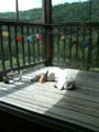55 murphy 2005-08-16#10057