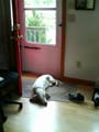 55.10 murphy 2005-08#10058