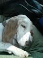 57 murphy car trip h#10059