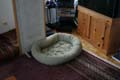 99 murphy empty bed #10060